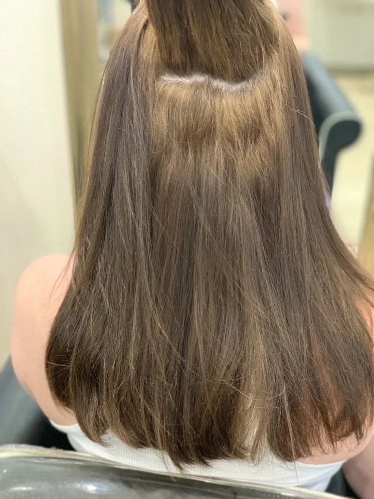 Hollywood Salon