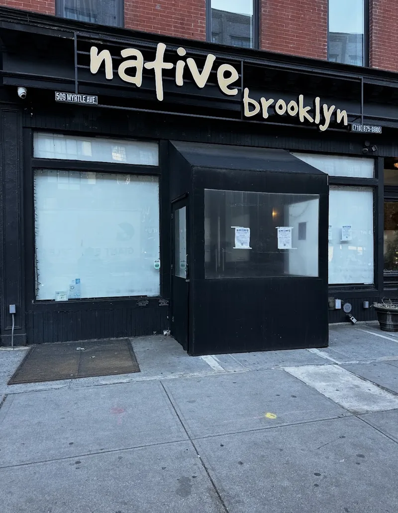 Native Brooklyn